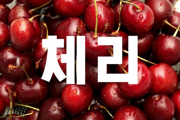 썸네일 이미지