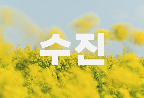 썸네일 이미지